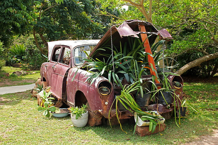 brown vehicle with plants