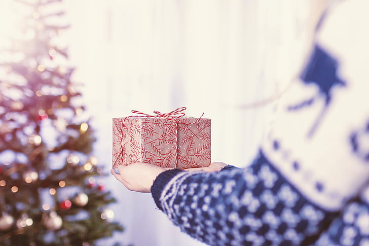 person holding gift box near Christmas tree