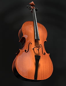 brown cello
