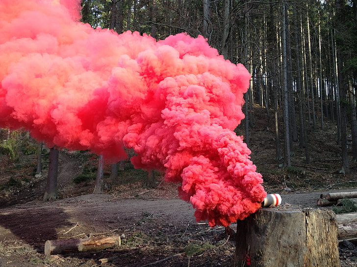 red-colored smoke on tree log