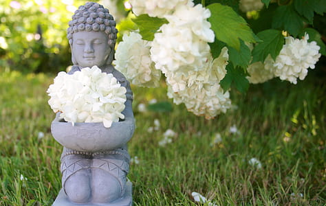 Buddha statue with white hydrangea flowers