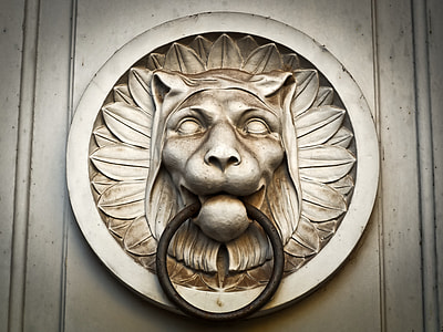 photo of brown lion door knocker