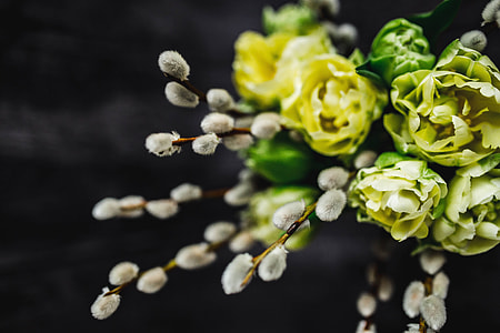 Close-ups of little yellow flowers and catkins in a glass jar