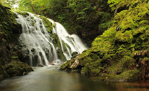 timelapse photography of a waterfalls near green leaf trees