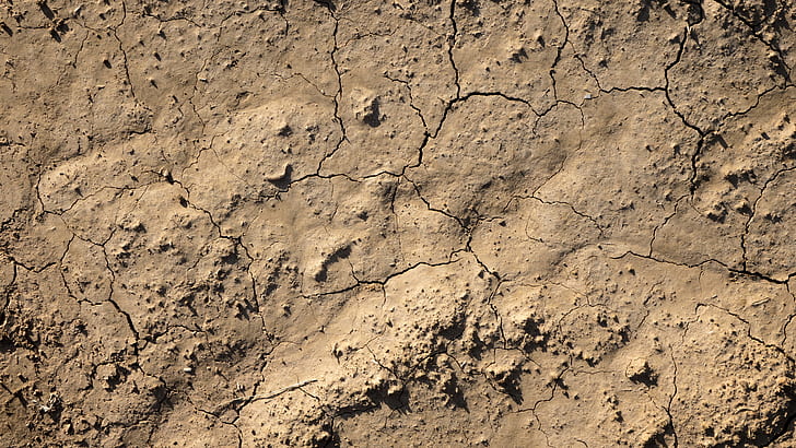 crack brown soil