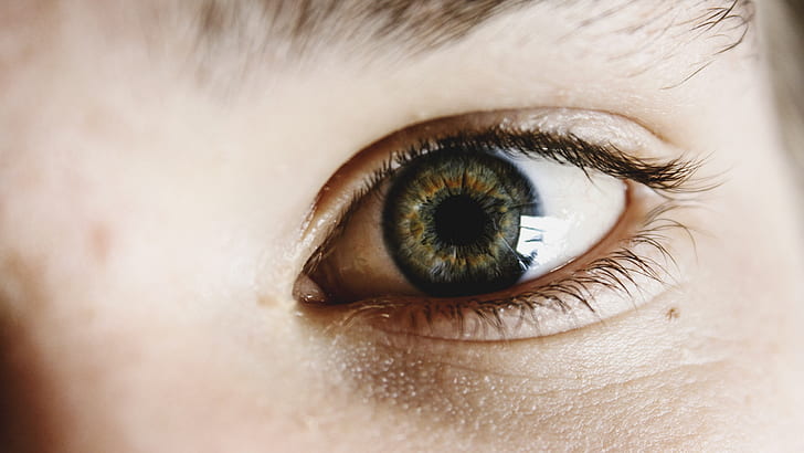 focal focus photography of person's left eye