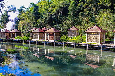 Kiosks Near Calm Body of Water Surrounded by Tall Trees at Daytime