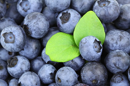 two leads on stack of blueberries