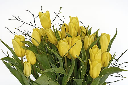photo of yellow tulip flowers bouquet