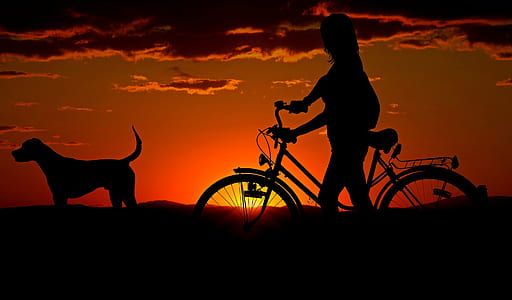 silhouette of person with bike and dog