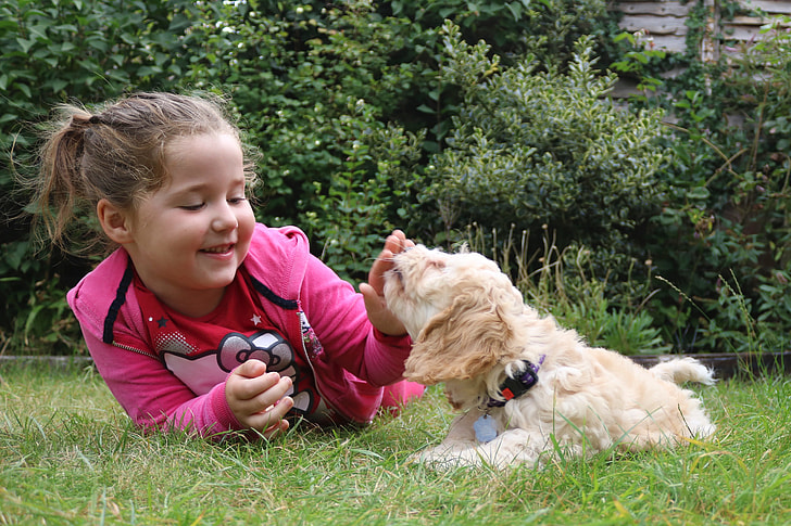 girl playing short-coated dog on grass