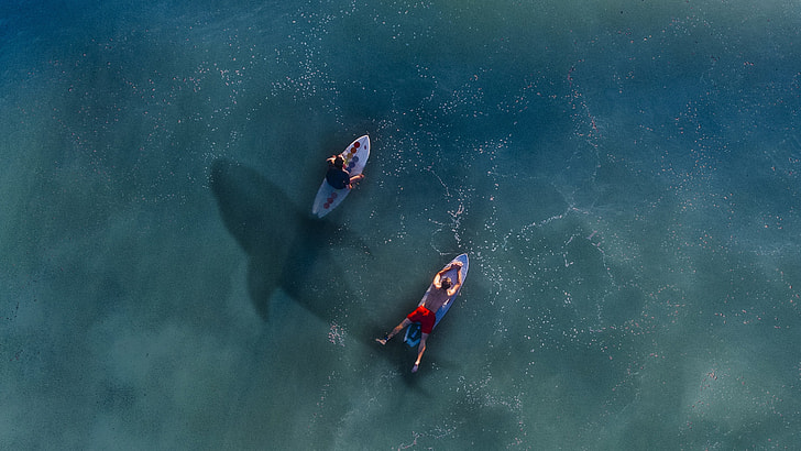 two man riding on personal watercraft with a shadow of a sea creature photo