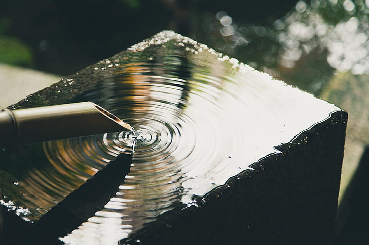 shallow focus photography of water drop in bamboo stick