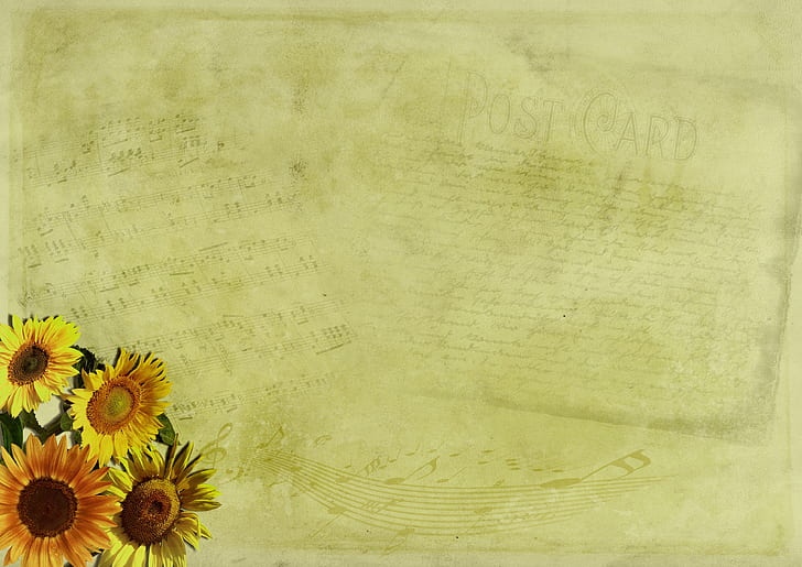 photo of yellow post card with sunflower