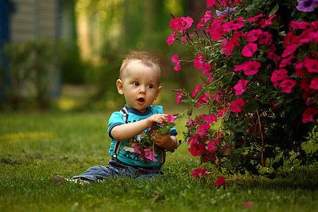 boy picking red petaled flower sitting on grass