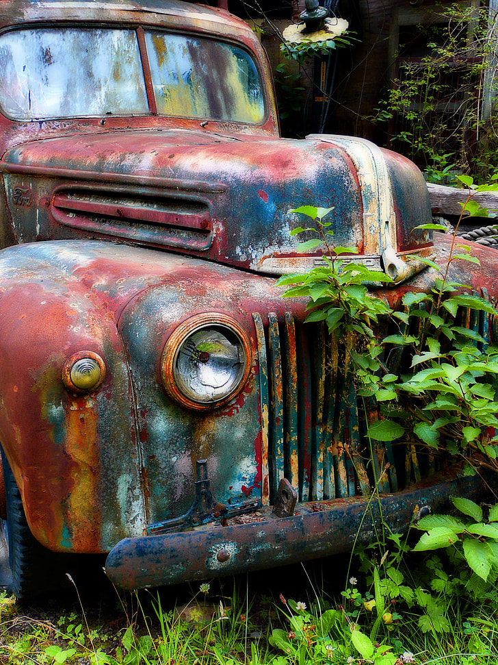 photo of rusted vehicle beside plants