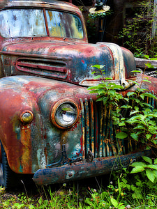 photo of rusted vehicle beside plants