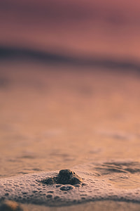 selective focus photo of stone surrounded of water during golden hour