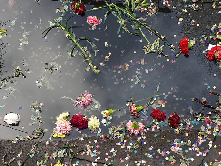 assorted-color flowers floating on river during daytime
