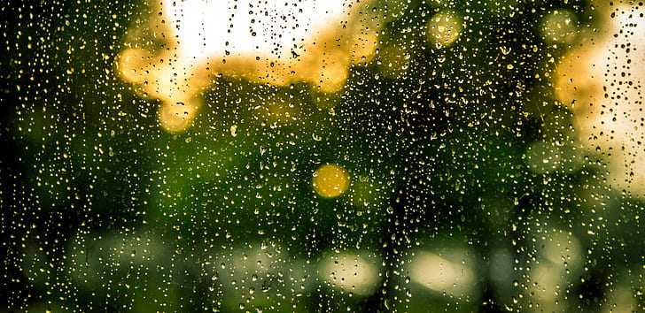 rain, water, drops, raindrops, window, wet