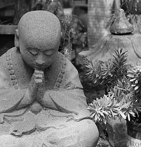 gray concrete meditating buddha statuette near plants