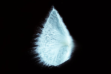 white feather drop