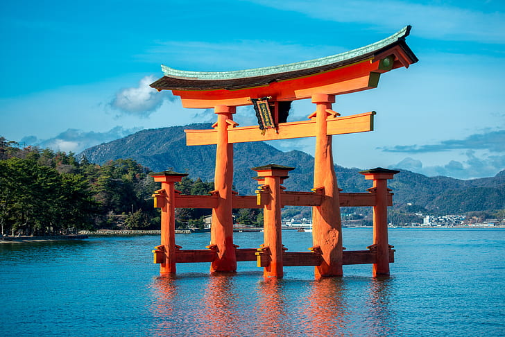 brown wooden tori gate on body of water