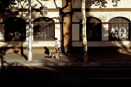 woman in beige shirt walking with tan and white dog