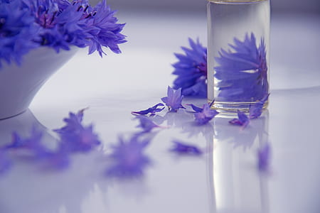 lavender flowers on white bowl