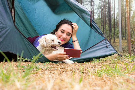girl with purple shirt using smartphone beside white poodle inside blue camping tent close-u photo