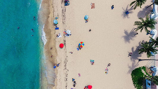 aerial photography of people on seashore near tall coconut tree at daytime