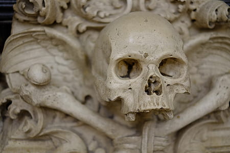 white ceramic skull