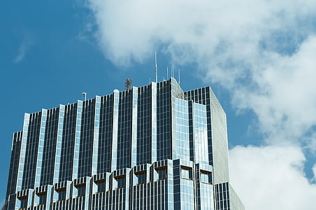 Blue and Gray Curtain Wall Building