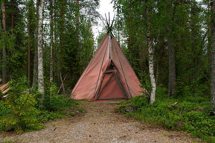 pink teepee tent between brown and grey trees at daytime