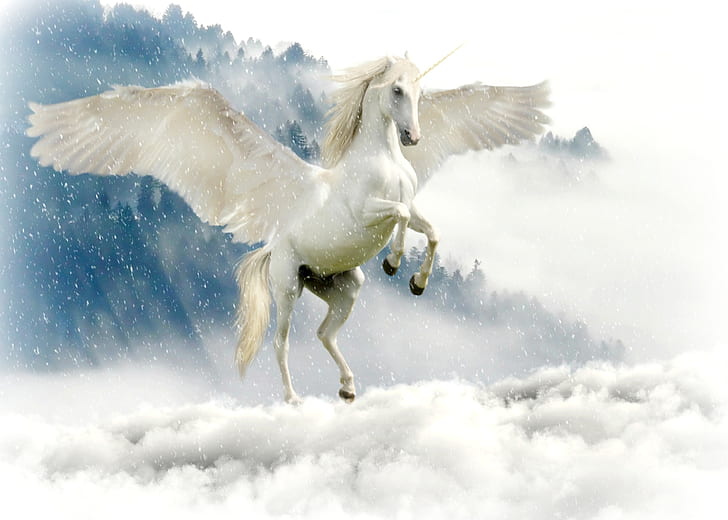 Pegasus above of cloudy sky