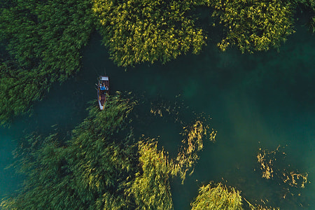 aerial view of power boat on body of water beside trees