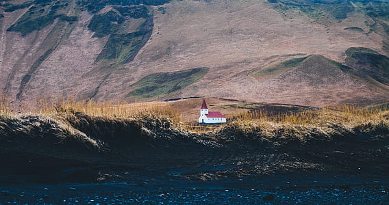 white and brown lighthouse at daytime