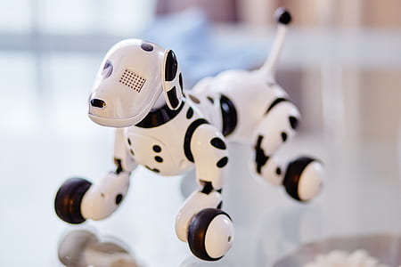 White and Black Dog Robot on Clear Glass Table
