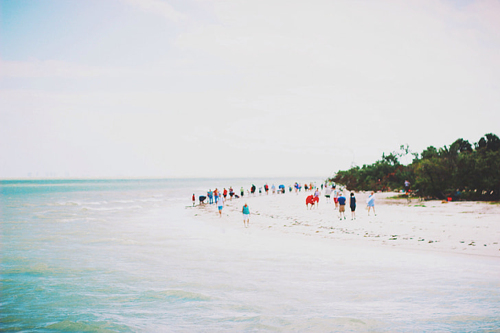 photo of people on beach during daytime