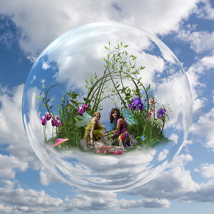two fairies near purple petaled flowers inside bubble digital wallpaper