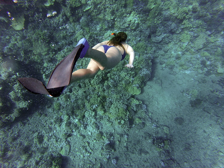 photography of woman in blue bikini set wearing pair of black flippers diving under body of water