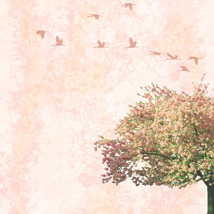 Royalty-Free photo: Tree under flock of birds illustration | PickPik