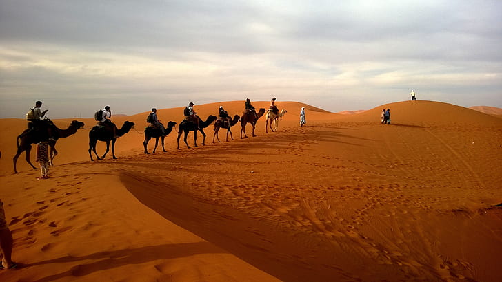 group of people riding camels crossing desert during daytime