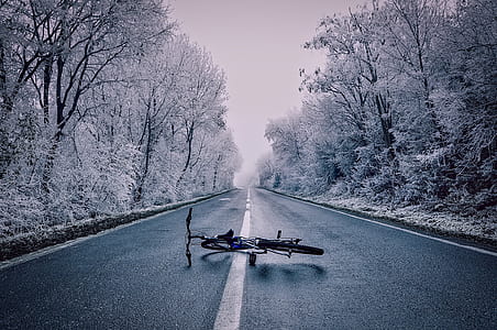 photo of blue bicycle lying on center of asphalt road surrounded by snow covered trees