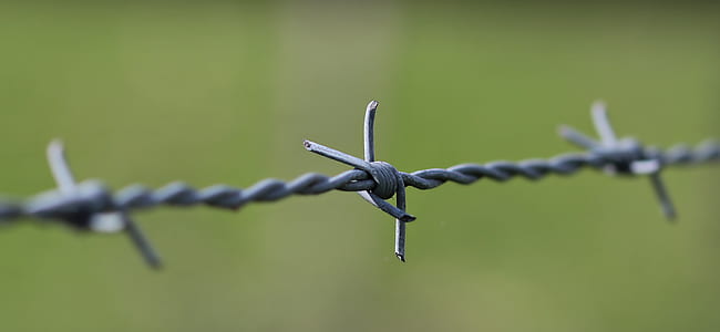 selective focus of gray burb wire