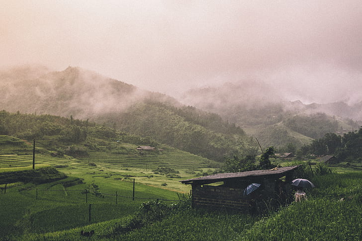 hill-mountain-fog-countryside-preview.jpg