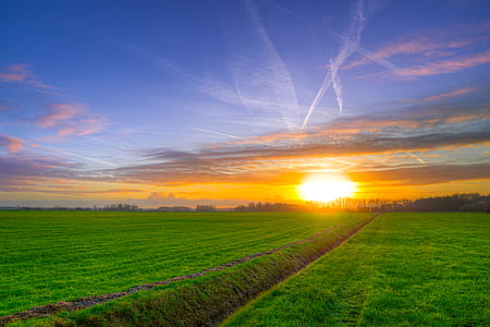 Photography of Green Grass Field during Golden Hour