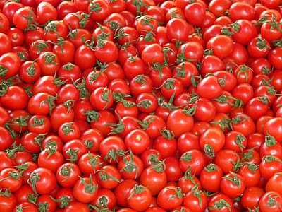 pile of red tomatoes