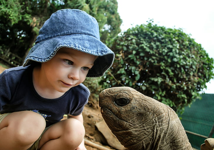 photo of girl looking on tortoise head