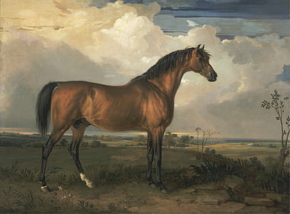 closeup photo of brown horse painting